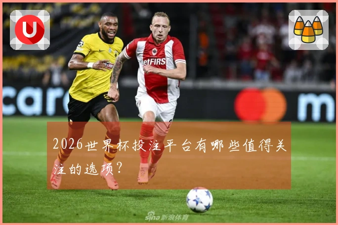 2026世界杯投注平台有哪些值得关注的选项？