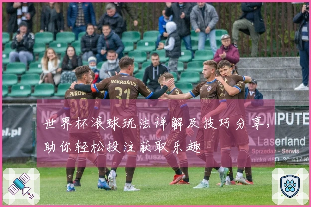 世界杯滚球玩法详解及技巧分享，助你轻松投注获取乐趣