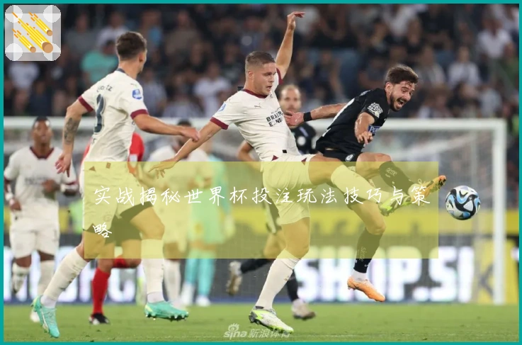 实战揭秘世界杯投注玩法技巧与策略