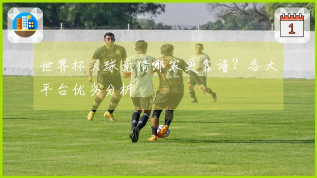 世界杯买球竞猜哪家更靠谱？各大平台优劣分析