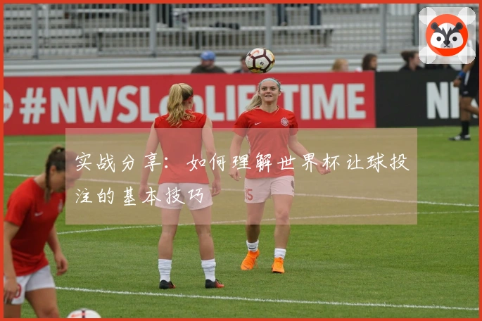 实战分享：如何理解世界杯让球投注的基本技巧
