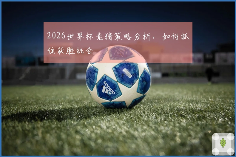 2026世界杯竞猜策略分析，如何抓住获胜机会
