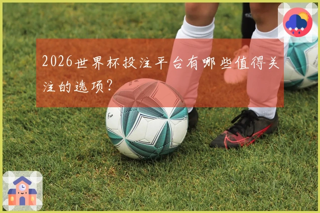 2026世界杯投注平台有哪些值得关注的选项？