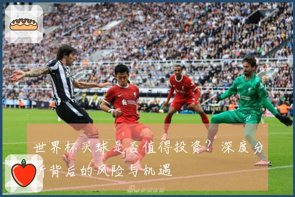 世界杯买球是否值得投资？深度分析背后的风险与机遇